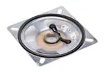 Transducers speaker